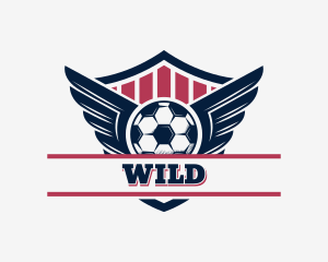 Ball - Soccer Shield Team logo design