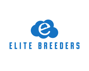 Cloud Letter E logo design