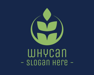 Pasture - Organic Green Wheat logo design