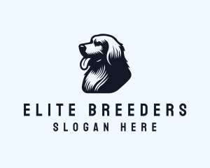 Pet Dog Labrador logo design