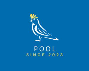 Birdwatcher - Cockatoo Pigeon Bird logo design