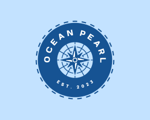 Nautical Navigation Compass logo design