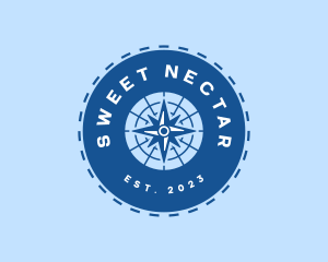 Nautical Navigation Compass logo design