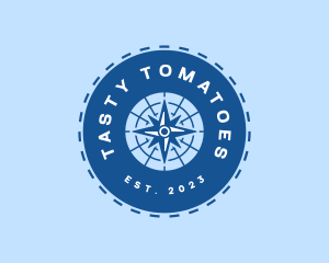 Nautical Navigation Compass logo design