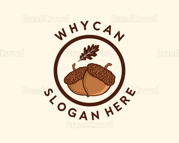Organic Acorn Nut Logo