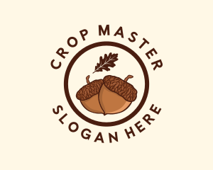 Organic Acorn Nut logo design