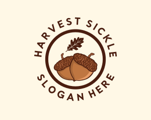 Organic Acorn Nut logo design