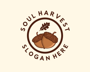 Organic Acorn Nut logo design