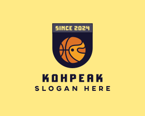 Basketball Sports Banner logo design