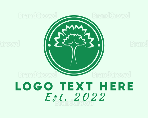 Wellness Forest Tree Logo