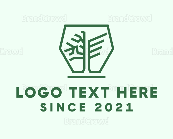 Hexagon Winged Tree Logo