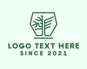 Hexagon Winged Tree logo design