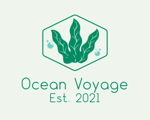 Green Ocean Seaweed logo design