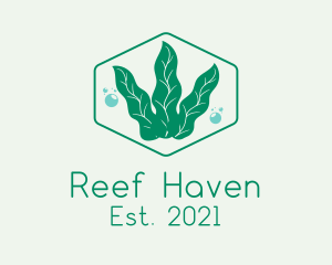 Green Ocean Seaweed logo design