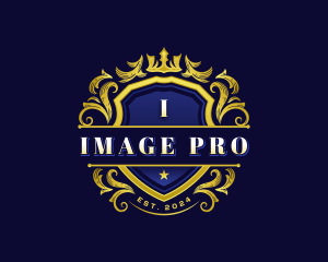 Luxury Crown Shield logo design