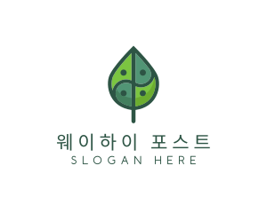 Asia Eco Balance Leaf logo design