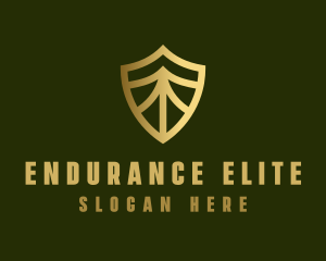 Elegant Security Shield logo design