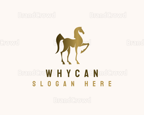 Elegant Equine Horse Logo