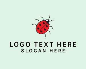 Ladybug Heart Insect logo design