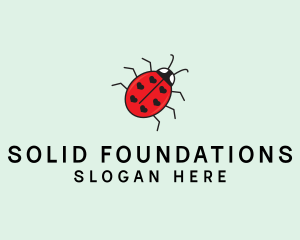 Heart - Ladybug Heart Insect logo design