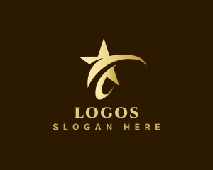 Premium Stylish Star  Logo