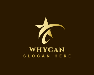 Premium Stylish Star  Logo
