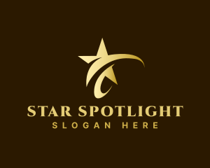 Premium Stylish Star  logo design