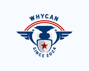 Eagle - Eagle USA Veteran logo design