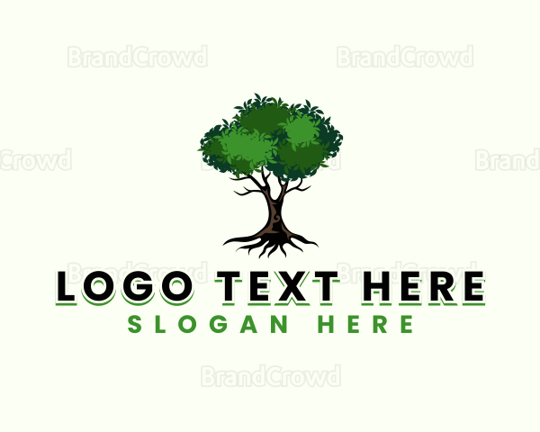 Eco Park Tree Logo