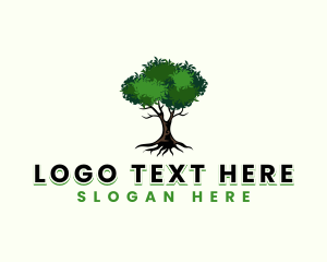 Eco Park Tree Logo