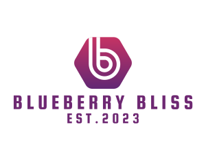 Hexagon Modern Letter B Business logo design