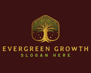 Environment Growth Tree logo design