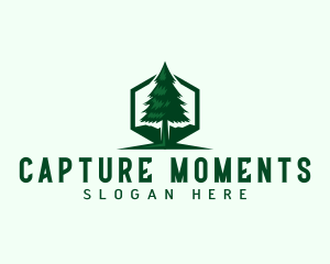Destination - Pine Tree Forest logo design
