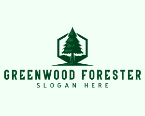 Pine Tree Forest logo design