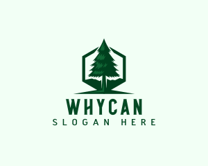 Forest - Pine Tree Forest logo design