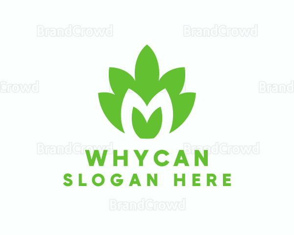 Green Plant Letter M Logo