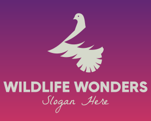 Zoology - Dove Wildlife Veterinary logo design