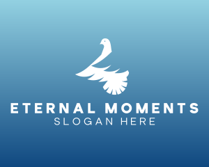 Celebrant - Dove Wildlife Veterinary logo design