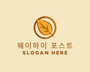 Natural Autumn Leaf logo design