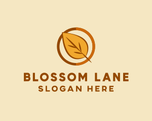 Natural Autumn Leaf logo design