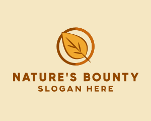 Natural Autumn Leaf logo design