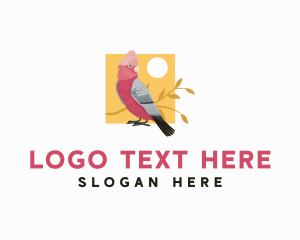 Gouldian Finch - Wild Cockatoo Bird logo design