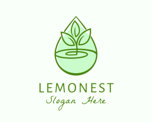 Extract - Natural Seedling Extract logo design