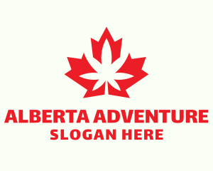 Alberta - Maple Leaf Cannabis logo design