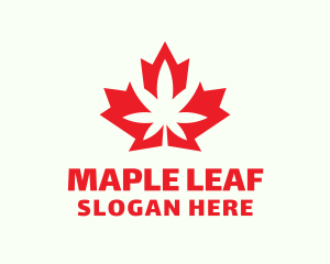 Maple Leaf Cannabis logo design