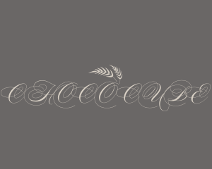 Classy Calligraphy Script Logo
