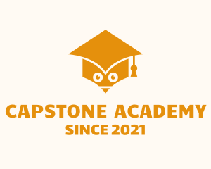 Graduation - Graduation Cap Owl logo design