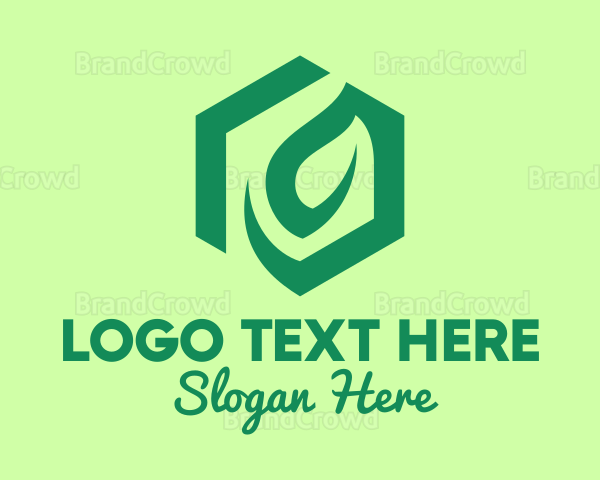 Green Environmental Hexagon Logo