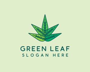 Organic Natural Leaves  logo design