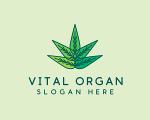 Organic Natural Leaves  logo design